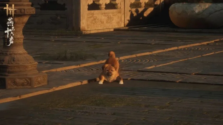 无锡马拉松,野鸳鸯,争议,YaBo,亚博,亚博体育入口,亚博官网,亚博体育APP下载