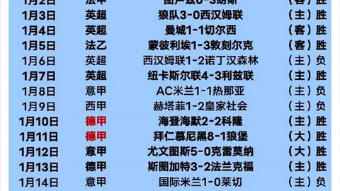 高永杰窪纯佑新加坡国际挑战赛男子双打银牌得主